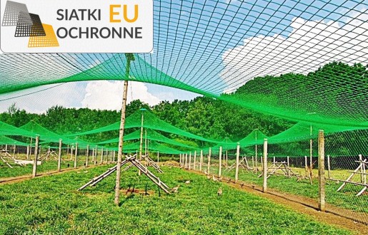   SiatkiOchronne.eu - Siatka ochronna uniemożliwiająca dostęp ptaków 
