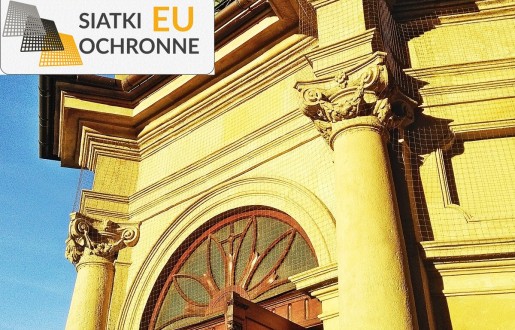 Ochrona Twojego ogrodu — siatka odstraszająca ptaki SiatkiOchronne.eu - Ochrona Twojego ogrodu — siatka odstraszająca ptaki