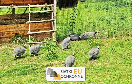   SiatkiOchronne.eu - Siatka na woliery 4,5x4,5 3mm PP 