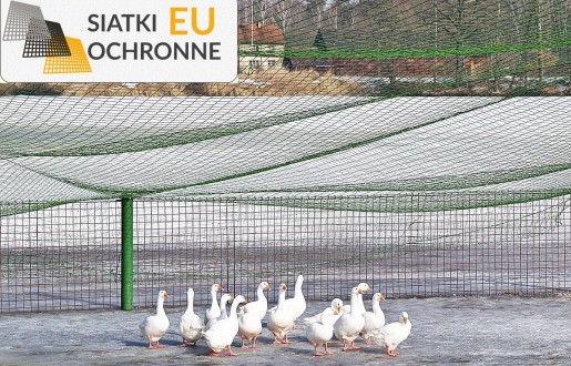   SiatkiOchronne.eu - Zadaszenie ogrodzenia dla bażantów na wolnym wybiegu 