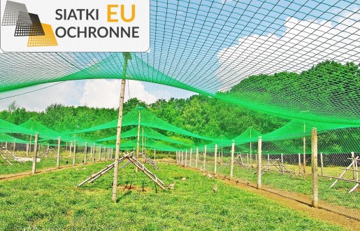   SiatkiOchronne.eu - Zadaszenie ogrodzenia dla bażantów na wolnym wybiegu 