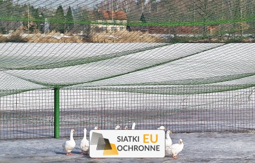   SiatkiOchronne.eu - Ogrodzenie wolnego wybiegu dla kur   Ogrodzenia dla kur 