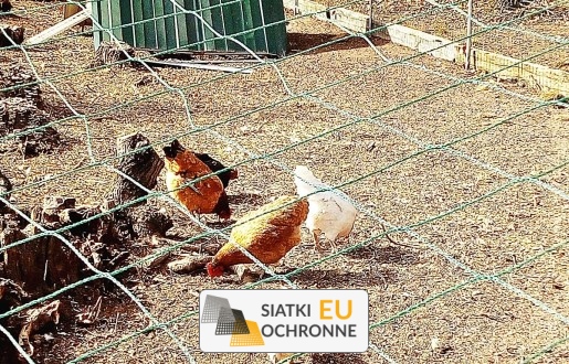   SiatkiOchronne.eu - Siatka na ptaki 