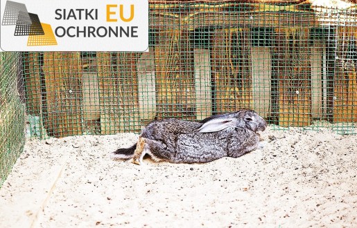 Wybieg zabaw dla królików: tani i bezpieczny SiatkiOchronne.eu - Wybieg zabaw dla królików: tani i bezpieczny