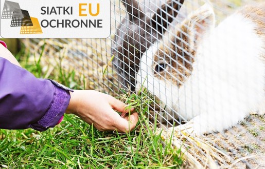 Bezpieczne i proste otoczenie dla Twojego małego zwierzątka: Siatka sznurkowa w stylu hieroglifów SiatkiOchronne.eu - Bezpieczne i proste otoczenie dla Twojego małego zwierzątka: Siatka sznurkowa w stylu hieroglifów