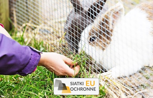  SiatkiOchronne.eu - Ogrodzenie dla królików 