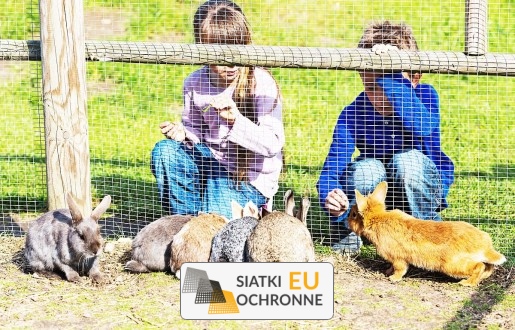 Siatka do hodowli królików wolnego wybiegu SiatkiOchronne.eu - Siatka do hodowli królików wolnego wybiegu