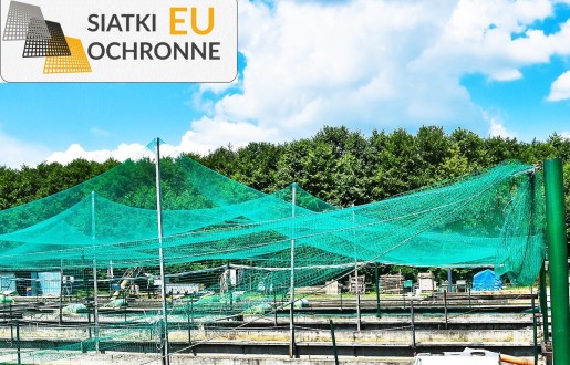 Komfortowe zagrody dla koni w przystępnej cenie SiatkiOchronne.eu - Komfortowe zagrody dla koni w przystępnej cenie