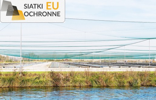 Siatki sznurkowe do ochrony Twojego rumaka - bezpieczeństwo zawsze na pierwszym miejscu SiatkiOchronne.eu - Siatki sznurkowe do ochrony Twojego rumaka - bezpieczeństwo zawsze na pierwszym miejscu