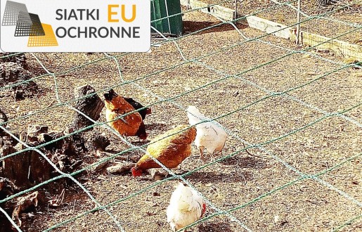 Siatka sznurkowa do pastwiska dla krów - prosta i bezpieczna zastosowanie SiatkiOchronne.eu - Siatka sznurkowa do pastwiska dla krów - prosta i bezpieczna zastosowanie