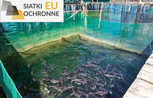 Doskonałe Siatkowe Boksy Ochronne dla Twoich Ulubionych Zwierząt SiatkiOchronne.eu - Doskonałe Siatkowe Boksy Ochronne dla Twoich Ulubionych Zwierząt