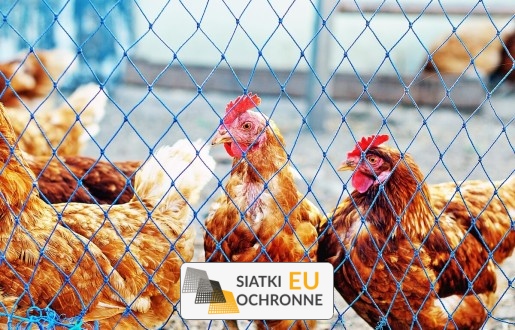   SiatkiOchronne.eu - Siatka dla zwierząt -mm PE 