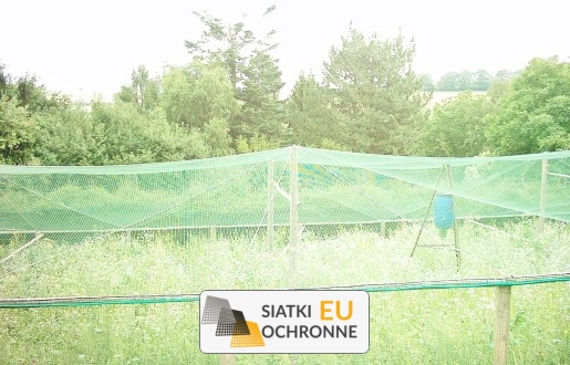   SiatkiOchronne.eu - Siatka hodowlana do zabezpieczania zwierząt 