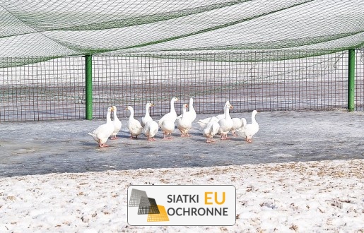   SiatkiOchronne.eu - Ogrodzenie dla zwierząt   Siatka do ogrodzenia hodowli zwierząt 