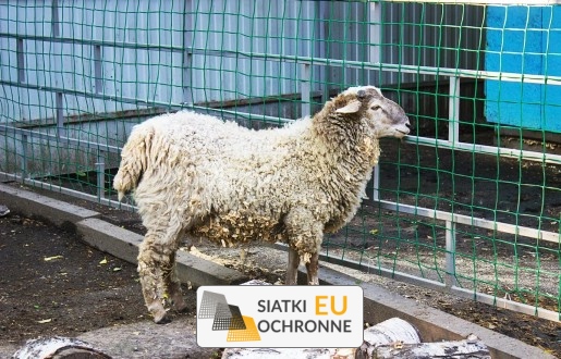 Siatka sznurkowa ochronna dla hodowli zwierząt SiatkiOchronne.eu - Siatka sznurkowa ochronna dla hodowli zwierząt