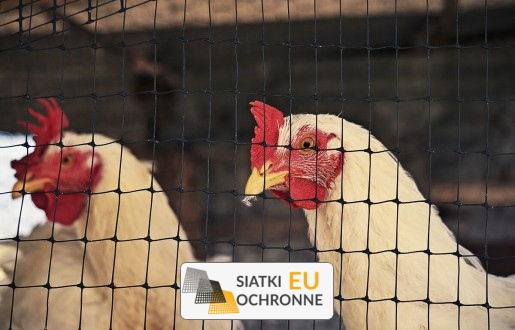   SiatkiOchronne.eu - Ogrodzenie dla zwierząt   Siatka do ogrodzenia hodowli zwierząt 