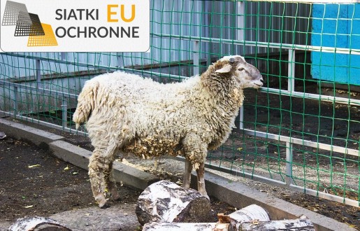 Elegancka siatka sznurkowa do zagrody koni SiatkiOchronne.eu - Elegancka siatka sznurkowa do zagrody koni