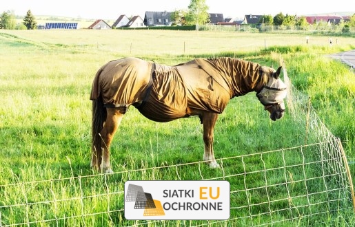 Ekonomiczne i efektywne rozwiązanie dla hodowli bydła SiatkiOchronne.eu - Ekonomiczne i efektywne rozwiązanie dla hodowli bydła