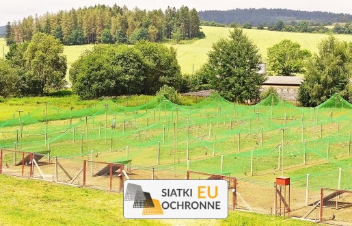   SiatkiOchronne.eu - Ekonomiczne ogrodzenie dla hodowli bydła 