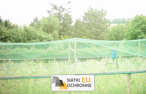   SiatkiOchronne.eu - Inwestycja w bezpieczeństwo twoich zwierząt: tanie ogrodzenie sznurkowe spełniające wymogi pasieki 
