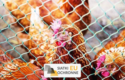 Bezpieczne i niezawodne ogrodzenie sznurkowe dla twoich koni SiatkiOchronne.eu - Bezpieczne i niezawodne ogrodzenie sznurkowe dla twoich koni