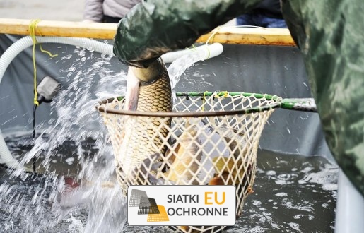 Zabezpieczenie hodowli ryb Siatka do zabezpieczenia ryb SiatkiOchronne.eu - Zabezpieczenie hodowli ryb Siatka do zabezpieczenia ryb