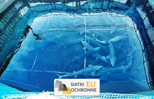 Zabezpiecz swoje sztuczne przestrzenie wodne — Siatka ochronna dla hodowli Twoich ryb SiatkiOchronne.eu - Zabezpiecz swoje sztuczne przestrzenie wodne — Siatka ochronna dla hodowli Twoich ryb