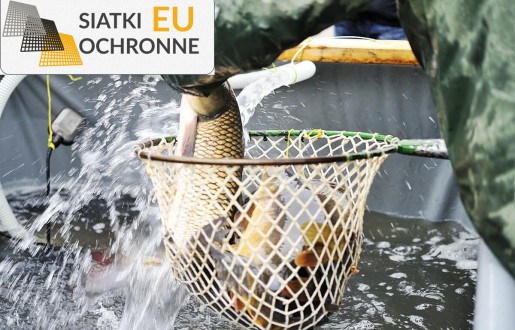 Klatki sieciowe do hodowli wodnej SiatkiOchronne.eu - Klatki sieciowe do hodowli wodnej