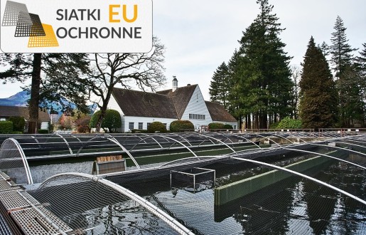 Kojce i siatki idealne do hodowli ryb SiatkiOchronne.eu - Kojce i siatki idealne do hodowli ryb