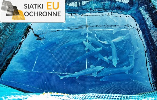 Klatki sieciowe do hodowli wodnej SiatkiOchronne.eu - Klatki sieciowe do hodowli wodnej