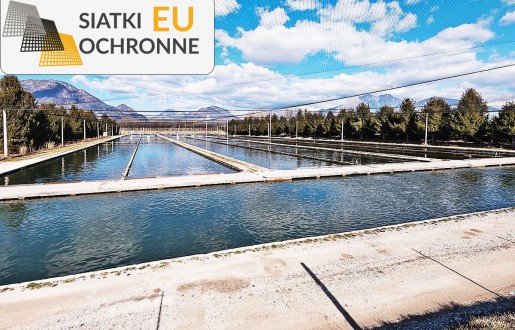 Komplet siatek do hodowli stada ryb SiatkiOchronne.eu - Komplet siatek do hodowli stada ryb