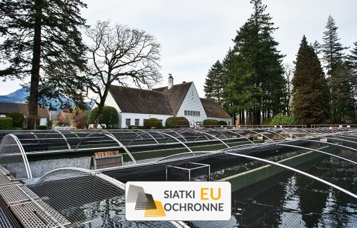 Zabezpieczenie hodowli ryb Siatka do zabezpieczenia ryb SiatkiOchronne.eu - Zabezpieczenie hodowli ryb Siatka do zabezpieczenia ryb