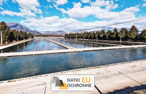   SiatkiOchronne.eu - Zabezpieczenie hodowli ryb   Siatka do zabezpieczenia ryb 