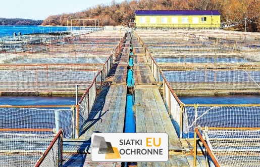   SiatkiOchronne.eu - Zabezpieczenie hodowli ryb   Siatka do zabezpieczenia ryb 