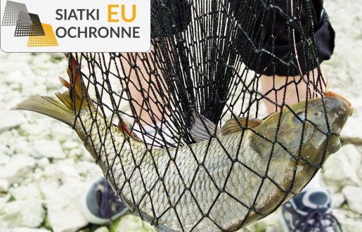 Rozwijaj swoją pasję hodowlaną dzięki naszym kojcom i siatkom SiatkiOchronne.eu - Rozwijaj swoją pasję hodowlaną dzięki naszym kojcom i siatkom