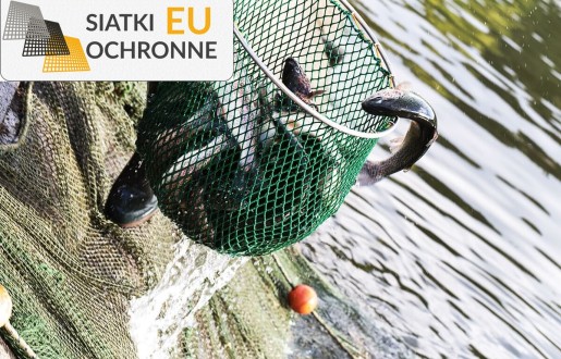 Komplet siatek do hodowli stada ryb SiatkiOchronne.eu - Komplet siatek do hodowli stada ryb