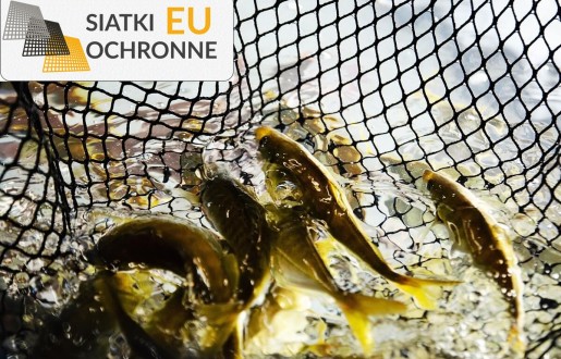 Ochronny sznurkowy system siatkowy dla hodowli ryb SiatkiOchronne.eu - Ochronny sznurkowy system siatkowy dla hodowli ryb