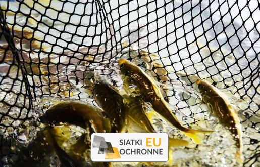   SiatkiOchronne.eu - Kojce dla ryb z siatki   Siatki dla ryb hodowlanych 