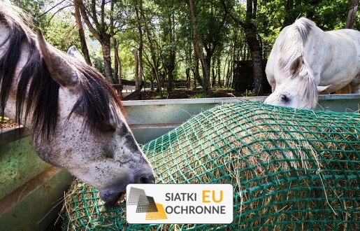  SiatkiOchronne.eu - Siatka na siano dla konia - Paśnik z siatki na siano dla koni 