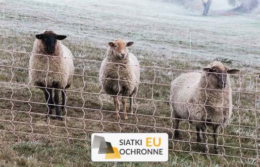  SiatkiOchronne.eu - Siatka hodowlana   Zabezpieczenie hodowli zwierząt i ptactwa siatką 