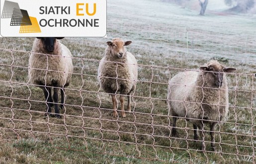 Zabezpieczenia sznurkowe dla klatek ptaków i innych zwierząt SiatkiOchronne.eu - Zabezpieczenia sznurkowe dla klatek ptaków i innych zwierząt