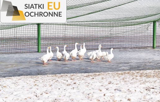 Siatka z sznurka dla hodowców SiatkiOchronne.eu - Siatka z sznurka dla hodowców