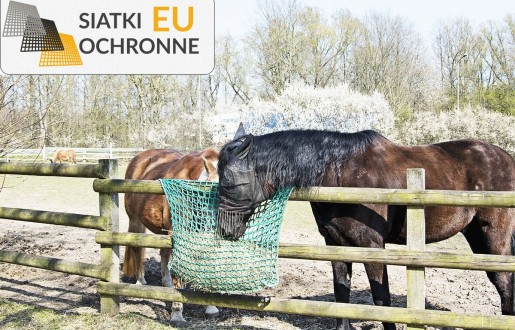   SiatkiOchronne.eu - Ochronne siatki bezpieczne dla ptaków i innych zwierząt 