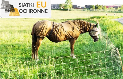 Siatka do hodowli o wymiarach 2x2, o grubości 2mm, wykonana z wytrzymałego polipropylenu SiatkiOchronne.eu - Siatka do hodowli o wymiarach 2x2, o grubości 2mm, wykonana z wytrzymałego polipropylenu