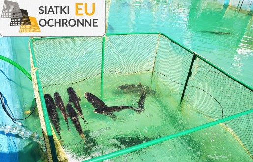 Stabilna siatka hodowlana do ochrony Twoich zwierząt i ptactwa SiatkiOchronne.eu - Stabilna siatka hodowlana do ochrony Twoich zwierząt i ptactwa