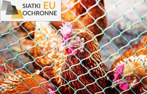 Ochrona twojej hodowli z naszymi siatkami dla ptaków i zwierząt SiatkiOchronne.eu - Ochrona twojej hodowli z naszymi siatkami dla ptaków i zwierząt