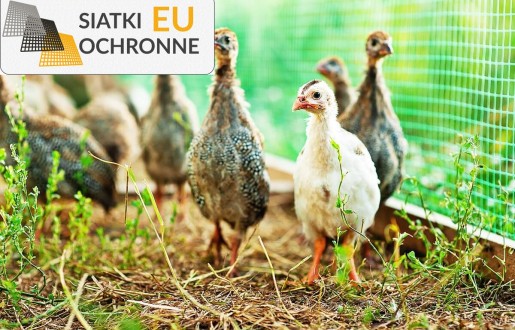 Bezpieczna siatka na ogrodzenie dla zwierząt i ptactwa SiatkiOchronne.eu - Bezpieczna siatka na ogrodzenie dla zwierząt i ptactwa