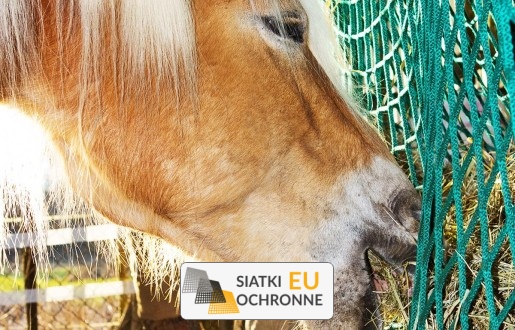   SiatkiOchronne.eu - Siatka ochronna na hodowle 