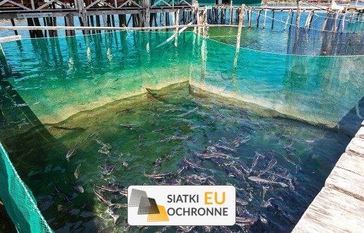   SiatkiOchronne.eu - Szerokie zastosowanie siatką polipropylenową - hodowlaną 