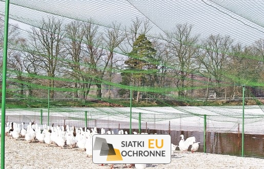   SiatkiOchronne.eu - Siatka do hodowli   Siatka do zabezpieczenia hodowli ptaków i zwierząt 